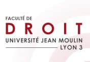 formation-lyon3